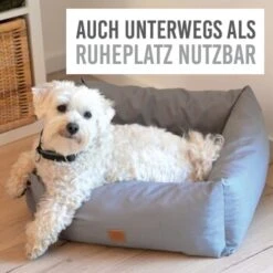 KaraLuna Autositz Kleine Hunde -Tierbedarf Geschäft c43a66d74eef51b612eae7a548cb2b038009505b 1657442 de DE c74c72488e6718cfafbeff5d99ede07a37048260HkNpMo