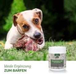 Aniforte BARF-Line Naturkräuter Mix 250g -Tierbedarf Geschäft c578d8ead8b853abfea2a82ca4591ace6b681e88 1477973 de DE f5c2f4103e3264129f0109b6cb84b47eaa0188a6cBLOvK