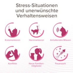 Beaphar CatComfort Excellence Starter-Kit 48ml -Tierbedarf Geschäft c5acac2221a0b2cf3e7346d9f61b6606812afde8 1416646 1 1
