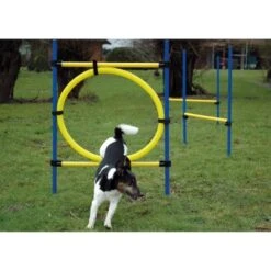 Dobar 3-teiliges Agility Sprung-Set,, Inkl. Tragetasche -Tierbedarf Geschäft c7c9dd298510f0bd74d586405ecbd396df04c759 313726f2dd166c5ec13855d4374275bbe5eeeeec