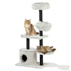 Silvio Design Katzenbaum Lia -Tierbedarf Geschäft c81df2c7cf1859fad171491105b6c7f17ec56689 ca032ae2d9d19e79be2dadb05575650e9b4d0ebe