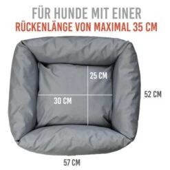 KaraLuna Autositz Kleine Hunde -Tierbedarf Geschäft c82cd8c12e140ce6995549d71c3f6191f0cd0a3b 1657442 de DE 2f6495f9c0fdda14f345cfb639bb4bee62ece79aDXpHvs