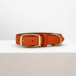 THE DOG IDEA Leder Halsband Orange M -Tierbedarf Geschäft c8786622c4ddb3c106babce32bff1fb4253e061b 1674196 de DE 714570c14a0e5bbdd38df31b81343bdc05cedccbKoLmZ8