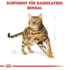 ROYAL CANIN Bengal Adult 10 Kg -Tierbedarf Geschäft cb3c9b745b0cf6e86ca2308b544461de43105143 e7122eb5a9e8a316aad32423edb5418ecd6d24cd