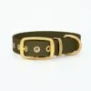 THE DOG IDEA Biothane Halsband Gold Khaki M 2 THE DOG IDEA Biothane Halsband Gold Khaki M -Tierbedarf Geschäft ccb7f297d138c680b79d54431fec864035ca1448 1655419 de DE f73a599fd7bd8b41d43fc994a962bf949a61e7f6pnKrVu