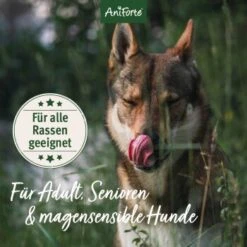 Aniforte Trockenfutter LandChicken - Zartes Huhn Mit Reis 2 Kg -Tierbedarf Geschäft ccdccba22db20132f6ff6d85dd45b1297bf8942a 1668916 de DE ab8d93a2aba26d4d3d9191665a57d8e6fecc366ahRURHR