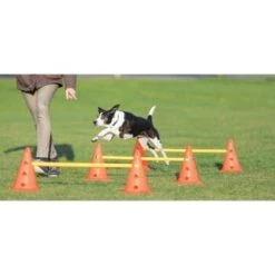 Trixie Dog Activity Hindernisse Ø23x30cm -Tierbedarf Geschäft cf5032631aac0df221da4281f2bf49a2321f1aa1 1287032 de DE Trixie Hindernisse wb 1