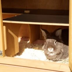 Kerbl Nagerstall Appartement Pro -Tierbedarf Geschäft d0393ab2c6d0024f1e38155c2064cc1a55cb4c3e aaca8b9b82324f261778e220e8b4c213eb3f4d3d