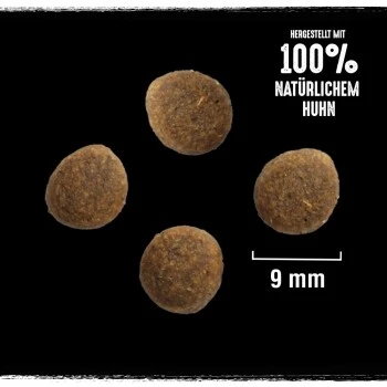 CRAVE Mit Truthahn Und Huhn 2,8 Kg 4 CRAVE Mit Truthahn Und Huhn 2,8 Kg – Bild 2