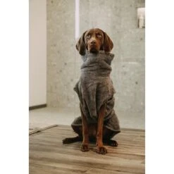 Lills Lill's Hundebademantel "Night Blue" 35 Cm -Tierbedarf Geschäft d200b579b2b65ad9031ca5a6286c317e485ef232 1653379 de DE 98bc74239c4ab048310224eeb67c837697c0c318SRPWrI