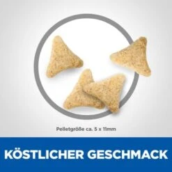 Hill's Science Plan Hairball Indoor Adult Mit Huhn 3 Kg -Tierbedarf Geschäft d22915eed5f581b2aadd8692cf33e6afbd622437 52742024011 6