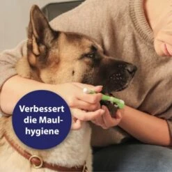 Canosept Zahnpflege-Set Für Hunde 12 Canosept Zahnpflege-Set Für Hunde -Tierbedarf Geschäft d3527ed20311c26905cc21d326812cefdd56476d 1382706 de DE f1dd7678e896b8abfecbaf661ecaf238a0e628638erujn