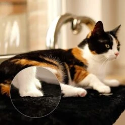 Lionto Katzenliege Für Fensterbank Schwarz -Tierbedarf Geschäft d381822ef5a95c89b1fff706447b9d97f29f0c7f 1665905 de DE 5457dd2248cdfada4018574e89708e1db05800ecjUEbgx