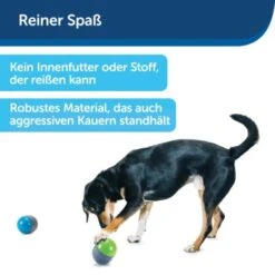 PetSafe Elektronisches Hundespielzeug Ricochet -Tierbedarf Geschäft d4449f153a2c132dbacdcffdb9e5bd1534d39124 1418724 de DE f83cfc689e8023f0b85b6eeadf79a2629df4d4f153I9wY