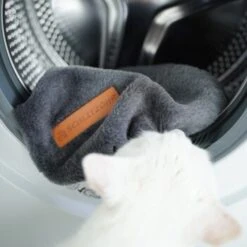 Schlitzohr Ersatzbezug Fensterbankliege -Tierbedarf Geschäft d4cc499e08d443b93fe9a9297214eb987458fcdd 1484680 de DE b4a18ebf9a0740b37d8d190d11b72bce276a5c11T5yJbs