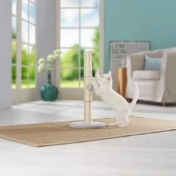 AniOne Kratzsäule Pepe&Kitty -Tierbedarf Geschäft d5701c6c4622e5291ba55a46423a44f2481c56c2 484c1f099650b6711f02ae3db97410a6f9af5da0