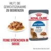 ROYAL CANIN Light Weight Care 12x85g In Soße 2 ROYAL CANIN Light Weight Care 12x85g In Soße -Tierbedarf Geschäft d5e62073b49a9d92e5d4409916fcbd4a6d9efc8a 1099138 2
