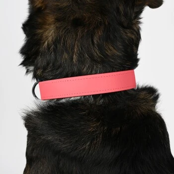 THE DOG IDEA Biothane Halsband Coral Koralle M 4 THE DOG IDEA Biothane Halsband Coral Koralle M – Bild 2