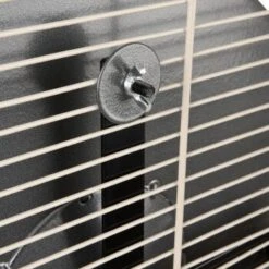 Wagner Montana Cages Metall-Laufrad Ø 38cm 11 Wagner Montana Cages Metall-Laufrad Ø 38cm -Tierbedarf Geschäft d617bd4dfbc1724778c20b1c5755c0a1ef592d48 1484280 de DE 05a82c0dc36325300cf7e58e8159a2a6bf92c5f4CacJUu