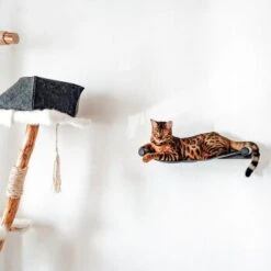 Canadian Cat Company Filz-Hängematte Für Die Wand -Tierbedarf Geschäft d6982ed9d12e9d0cbfd4107464642cbf75290f16 1360996 de DE d8ac4e7927d3348063cd4288852ccba5cd28bc01nV0N95