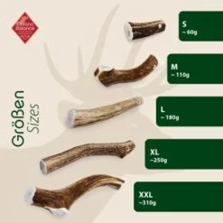 ChronoBalance Geweih Ganz (L) 2er Paket -Tierbedarf Geschäft d89dcb74a2907625509a81d281b6d9848c17af1a 1418692 de DE 9000f1c6c85d241db6c67b53955280ae842a85a4SRKhfw