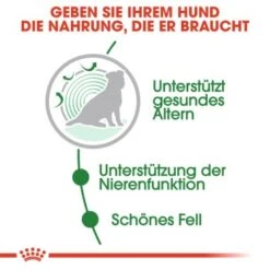 ROYAL CANIN Mini Ageing 12+ 12x85g -Tierbedarf Geschäft d914b80de7b105b27770d0a8b7a44e4953c403d8 1327898 de DE rc 3