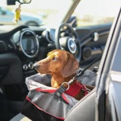 KONG Autositz Booster 17 KONG Autositz Booster -Tierbedarf Geschäft da5a6f6bf09b649e9026b41a00dfde740dc53650 926bd0d2f09bb651acb8b3ebfee5cc340cccaf62