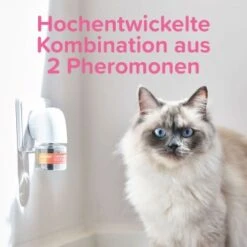 Beaphar CatComfort Excellence Starter-Kit 48ml -Tierbedarf Geschäft dc9c523dc7185c6fb064dba2b9c7de82f17a2005 1416646 1 5