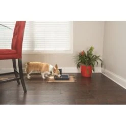 PetSafe Digitaler Futterautomat Für 2 Mahlzeiten -Tierbedarf Geschäft dd3fb1748ad72abb1dbd97f6f077b00bb4d76d05 1291255 de DE cf72a75b3fd4f7fd8b7e51ea368585b22239110fFJga5O