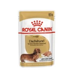 ROYAL CANIN Dachshund Adult Mousse 12x85g -Tierbedarf Geschäft de96ce197477c2a8829fb0e667d0e4e3cafcf670 1239184 de DE rc 1