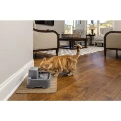 PetSafe Trinkbrunnen 1,8 L 15 PetSafe Trinkbrunnen 1,8 L -Tierbedarf Geschäft df488cf045110a6e0d24fcded3d81de07583d88a 1323706 7