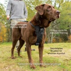 Kurgo Tru-Fit Smart Hundegeschirr XS 12 Kurgo Tru-Fit Smart Hundegeschirr XS -Tierbedarf Geschäft dfbefdb5cf1d59684ff67b5f978c9da5ad4d6801 1481169 de DE 388e931619b4f142b5510c311a315484232475c29AvRiq