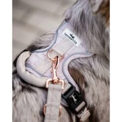 Freudentier Atmungsaktives Hundegeschirr S -Tierbedarf Geschäft dfd85e8a66f6fba5e82ceb62e116fbf7743591b2 1429123 de DE 960e026e6ecdd61315321da762eb8d6246f50023MkXX3W