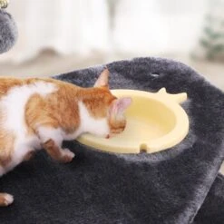 FEANDREA Mit Fressnapf Hellgrau Dunkelgrau -Tierbedarf Geschäft e0612f58e6cb8d822363112fdb47bb295de5e04a 1483606 de DE e41e735793de6f9347f2d50bd4d135ecb01beb8bnoaNEc