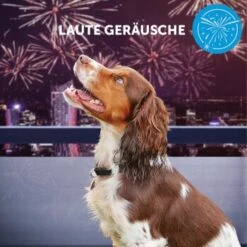 ADAPTIL Calm Halsband Anti Stress Erziehungshalsband S-M 17 ADAPTIL Calm Halsband Anti Stress Erziehungshalsband S-M -Tierbedarf Geschäft e065c94a1eadac38177e4f3120e975f32282355e 1204441 10