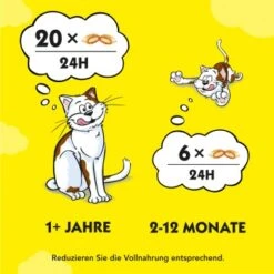 Dreamies Snack-Vielfalt 12x60g -Tierbedarf Geschäft e1b190f4f53100ff83c0fb6481ba747fb1f78bad 1297459 2