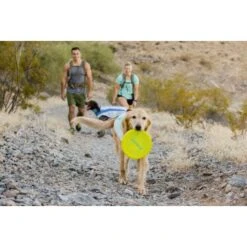 Ruffwear Camp Flyer™ Spielzeug Gelb 12 Ruffwear Camp Flyer™ Spielzeug Gelb -Tierbedarf Geschäft e4a37a6a829a29e9ccf8cc78751e0fdb21b1f16a 1444349 de DE aecf8c0098a10a43cb5986118c66a87955de58baPHiPKl