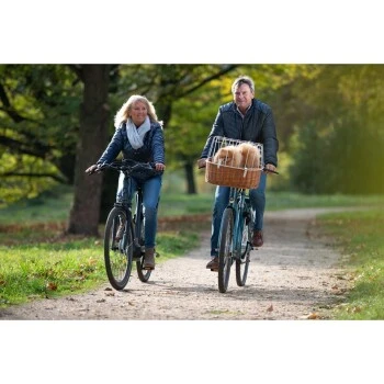 AniOne Fahrradkorb Willow Für Fahrradlenker 4 AniOne Fahrradkorb Willow Für Fahrradlenker – Bild 2