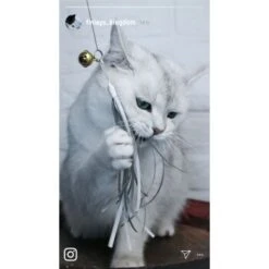 Kater Kasimir Premium Katzenangel Mit 4 Handgemachten Anhängern Aus Naturmaterial -Tierbedarf Geschäft e6fe48d27b82d48675d665ee2a143e3c11de2fd9 1408150 de DE b29a5f7f2530ce6388e16e2600369d70b2ec0350kYn6B8