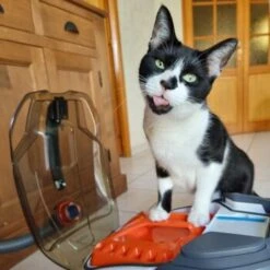 THOMAS Staubsauger -Tierbedarf Geschäft e924a64d06d1776c60effa6ed643bd7a6c20fdca 1406733 de DE 08e20bea72feee79416abcd48fd6e6a61e2fc6eav4kQrJ