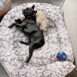 Wallace & Jones Hundebett Cordo-Heaven S -Tierbedarf Geschäft e93a1c7230d5e68bce6327ea17899707386bce88 1449008 de DE cd9be4db759cf7be03c3a1803409c0da67c4816eifOskb