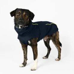 THE DOG IDEA Regenmantel Duke Navy XXXS 14 THE DOG IDEA Regenmantel Duke Navy XXXS -Tierbedarf Geschäft ea00da11be84052a9bd95ce1f2727678ed1be4f4 1473009 de DE ac44302b2919bae198c186891f7199cadbe8fe207lh60I
