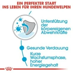 ROYAL CANIN Medium Puppy 10x140g -Tierbedarf Geschäft ea01834e95d5331859ec66f06e01952c0612edab 86009acb36c61560ce965056594dc109940f0dfe