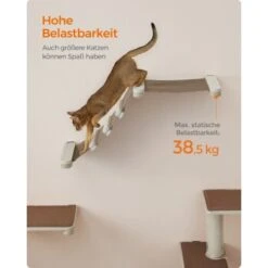 FEANDREA Clickat Katzenmöbel 2er Set, Kletterwand 19 FEANDREA Clickat Katzenmöbel 2er Set, Kletterwand -Tierbedarf Geschäft ea7e627724db534c6e0464771932a5ea554c0b07 1681501 de DE 69b299a2a0b5f1d93e61abe664375afb5e8ca6e9R2CgKk