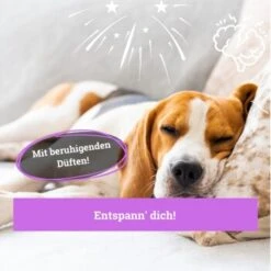 BeG Buddy Körbchen Spray Beruhigung Stress 11 BeG Buddy Körbchen Spray Beruhigung Stress -Tierbedarf Geschäft ed46f42d90e9c2090e66970bc3c9598896831909 1669471 de DE 768bad740b864a3e328c301b094e7af58dea17cfBPOCDN