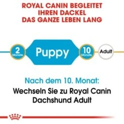 ROYAL CANIN Dachshund Puppy 1,5 Kg -Tierbedarf Geschäft ee2aac613cf00c88aaae82fa246ce5ae3ab6cc7f 7a38d6cf79357ebeb9de74d6a41b9fe3439983e6