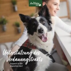 Aniforte Plus Magen & Darm 90 Tabletten -Tierbedarf Geschäft ee4705a2057b1edfe526ac54d24ab38e77b08466 1455900 de DE 5c17b7bc229b49c1931595cd931e95f6c72ef6cddQne1A