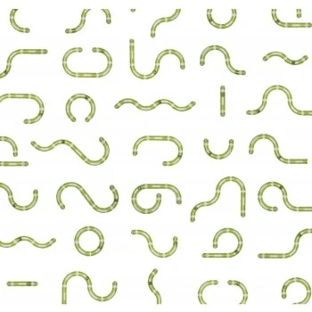 Catit Senses 2.0 Spielschiene SUPER 4 Catit Senses 2.0 Spielschiene SUPER – Bild 2