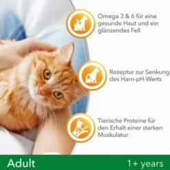 IAMS Vitality Adult Huhn 3 Kg -Tierbedarf Geschäft f239d7ef57a6054553948e62d3d5feb16002578a 8361bd6d370c2f798bd71fa3242ca269884546de