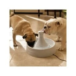 PetSafe Drinkwell Trinkbrunnen -Tierbedarf Geschäft f2f6d432248f4e752939a8a4fca01940b105f739 f5e8306a6a621e00f5c9fa7cde2f3dce0e55980a